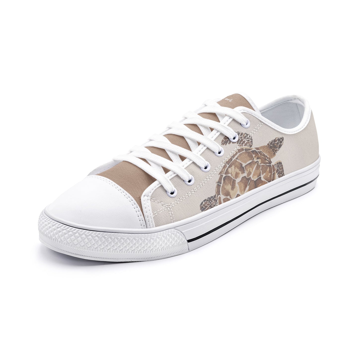 tortuga Canvas Shoes